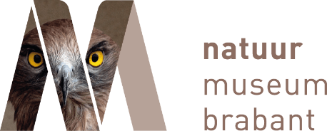 natuur museum brabant_logo